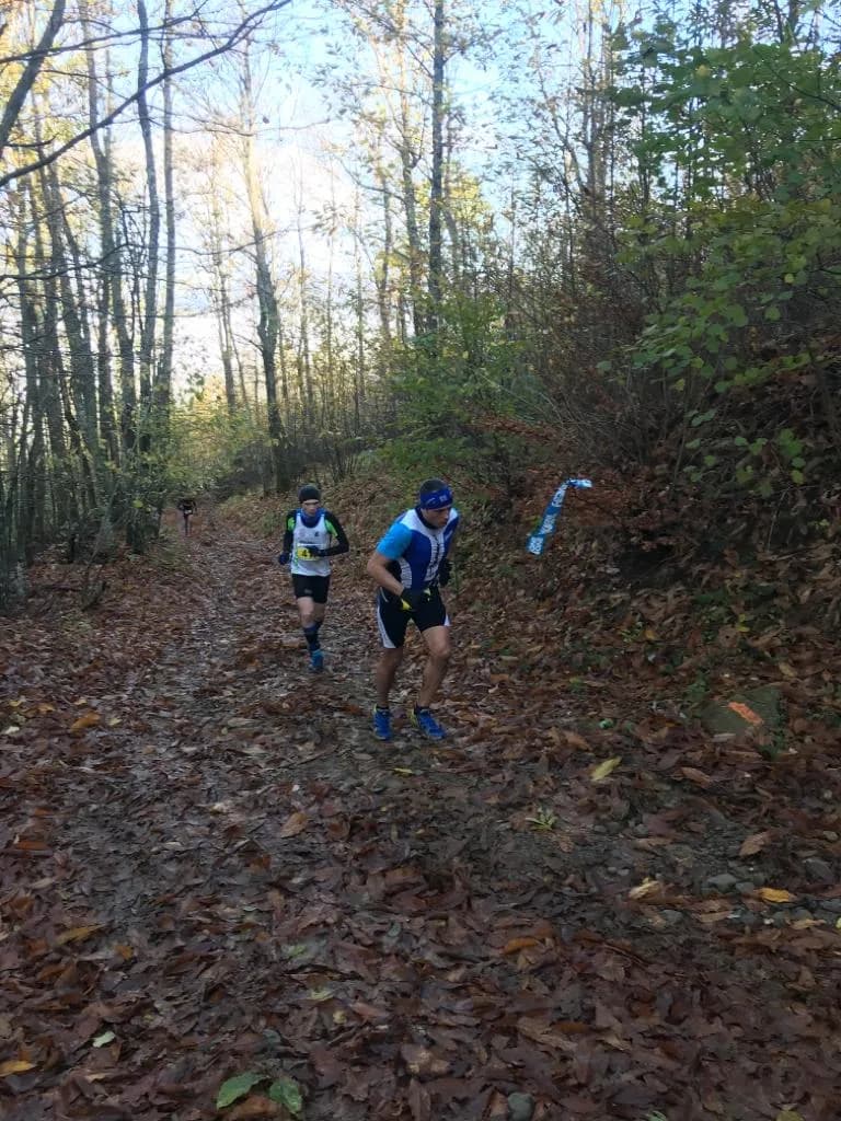 Atleti nel bosco al Winter Tarsogno Trail